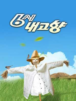 6시 내고향