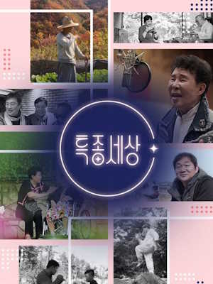 특종세상