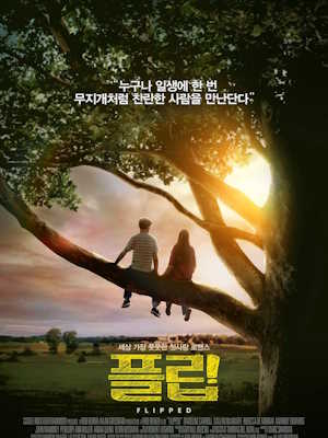 플립