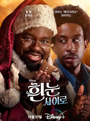 흰 눈 사이로