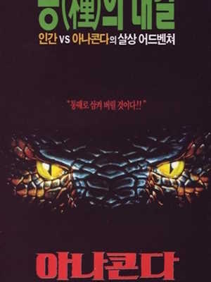 아나콘다