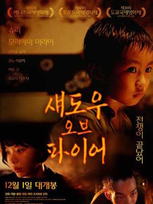 섀도우 오브 파이어