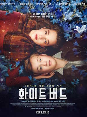 화이트 버드